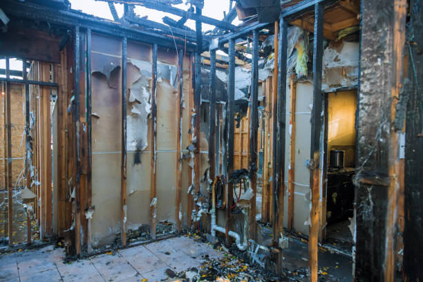 Professional Smoke Damage Removal technician working in Milford Square, PA